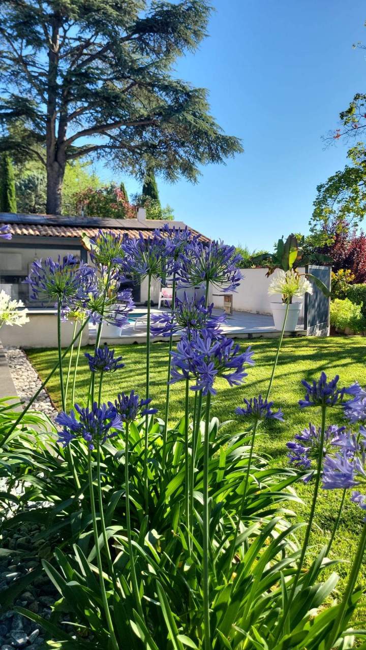 Jardin en bord de terrain revêtu gazon Manosque