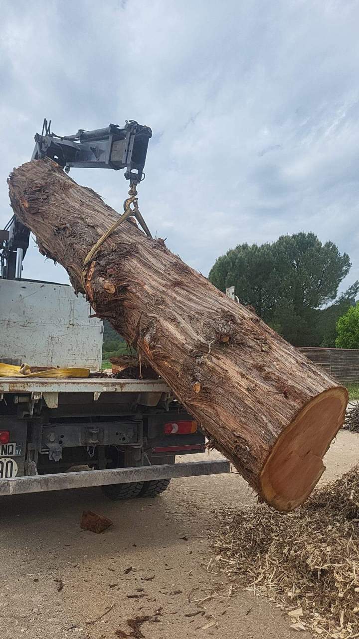 Grutage tronc d'arbre Manosque