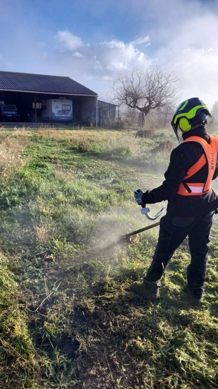 Nettoyage après abattage Manosque