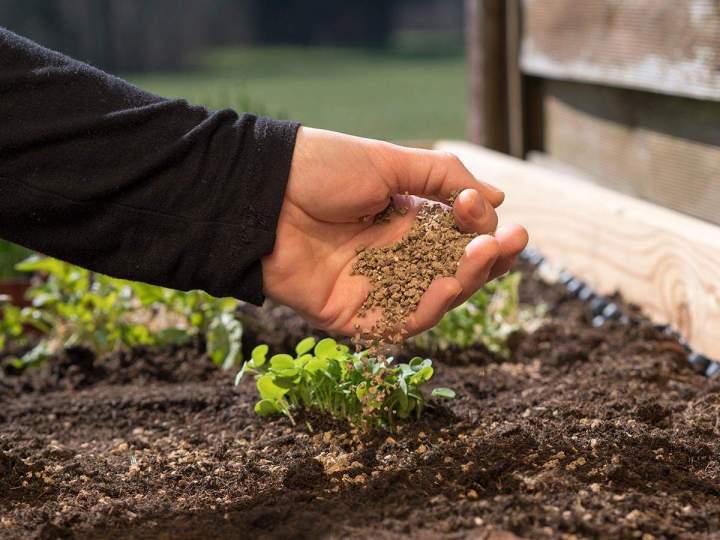 Epandage d'engrais naturel pour potager Manosque