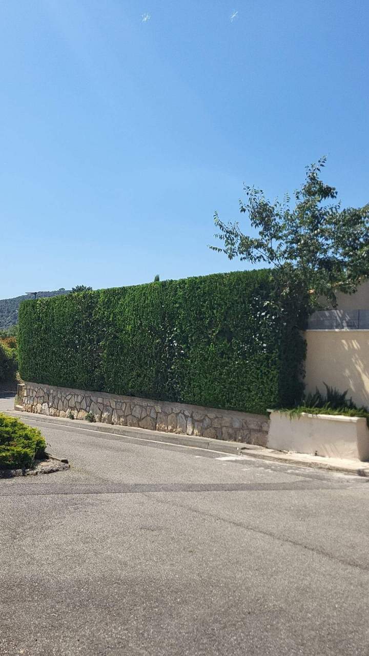 Clôture haie taillée Manosque