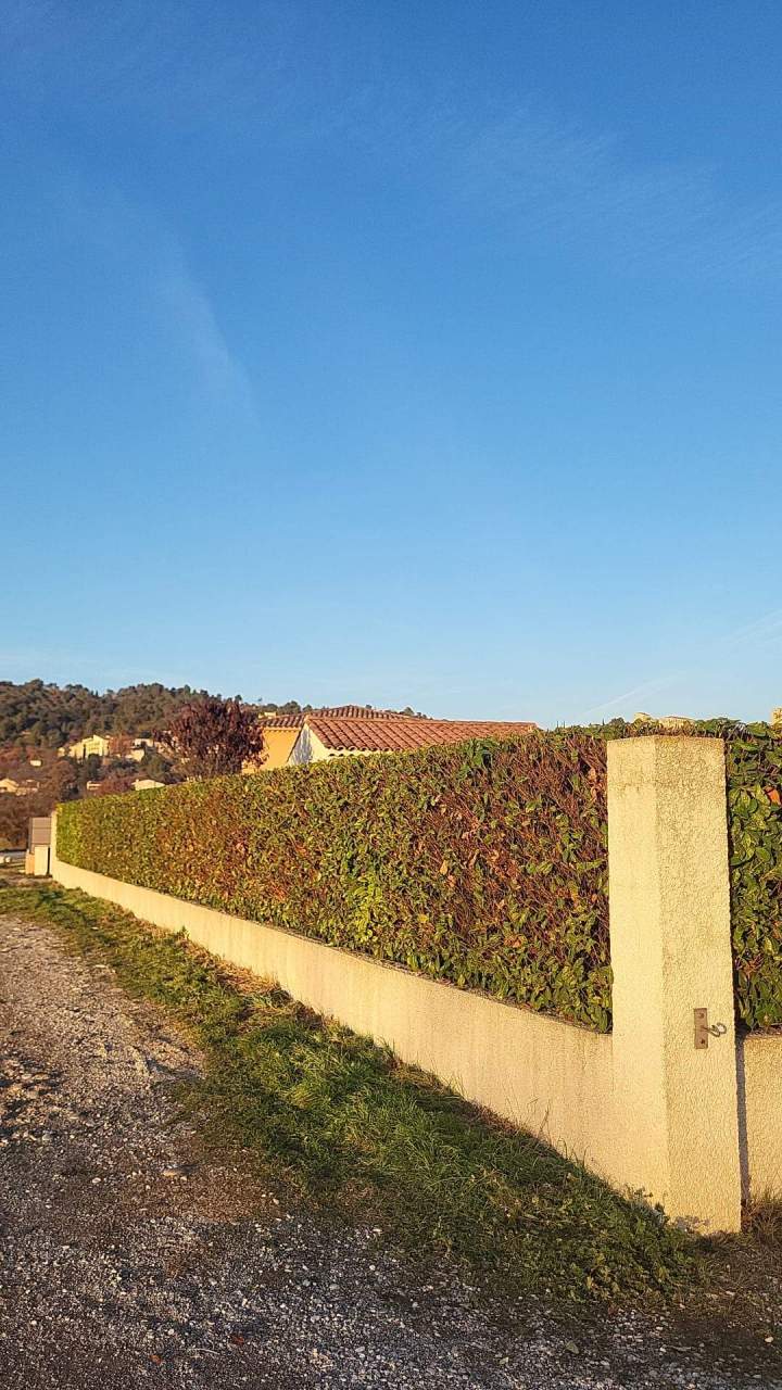 Clôture végétale et mur sur les côtés Manosque