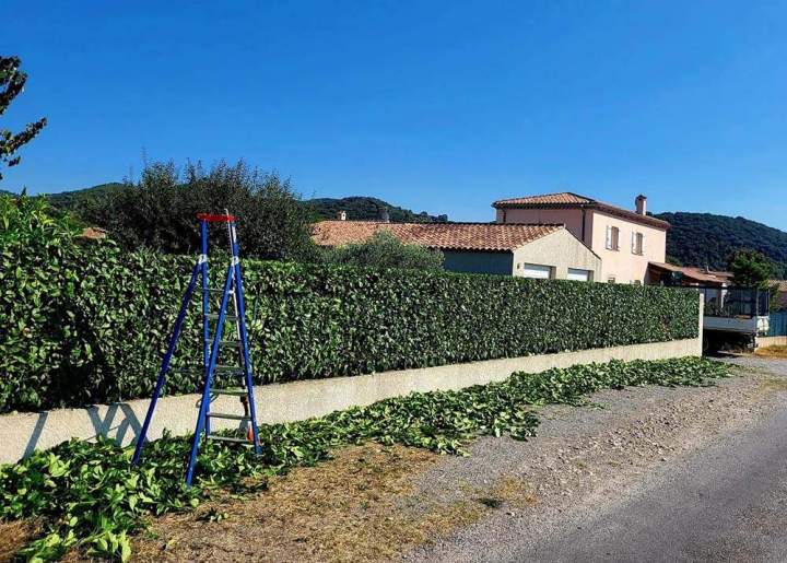 Élagage et abattage Manosque